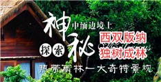日逼免费看