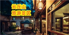 逼爱插插
