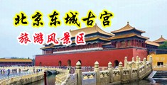 日美女小穴视频中国北京-东城古宫旅游风景区